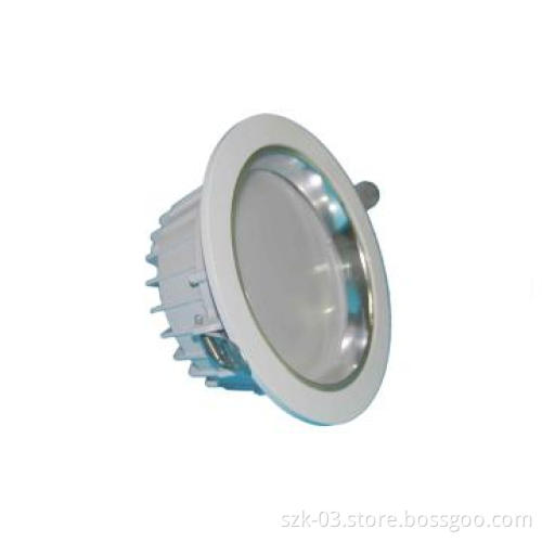 20W LED Down light / white fishing